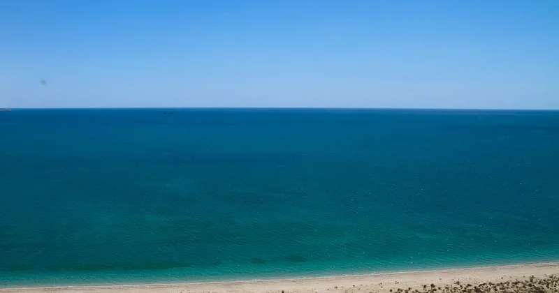 Триатлонистка утонула во время соревнования в США