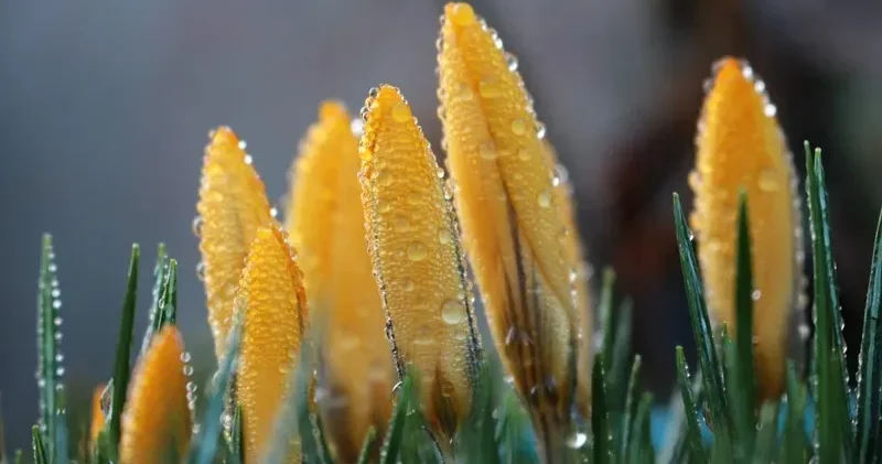 21 сәуірде Қазақстан бойынша қандай ауа райы күтіледі