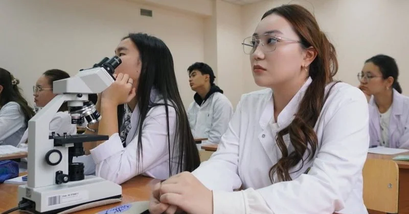 Ауылға баратын дәрігерлерге қандай қолдау тетіктері қарастырылған