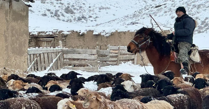 Шопандар зиянды еңбек жағдайында қызметін жүзеге асыратын тұлғалар тізбесіне енгізілмек