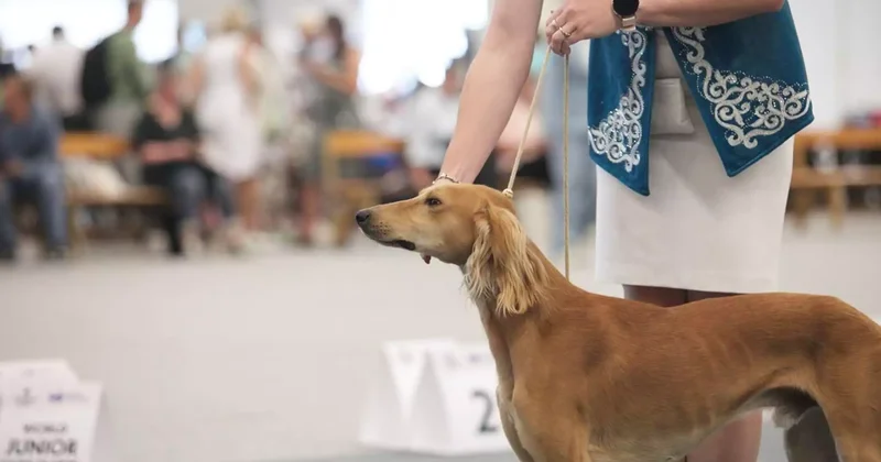 Қазақстанда биылдан бастап тағы бір мереке аталып өтеді