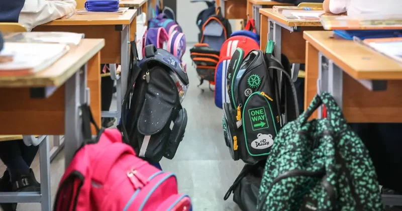 В каких классах казахстанские школьники будут изучать основы новой Конституции