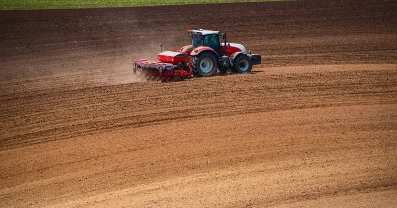 Многомиллионный агропроект в Улытауской области едва не сорвали из за карантинной зоны