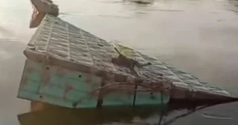 Понтон көпір тағы да суға кетті