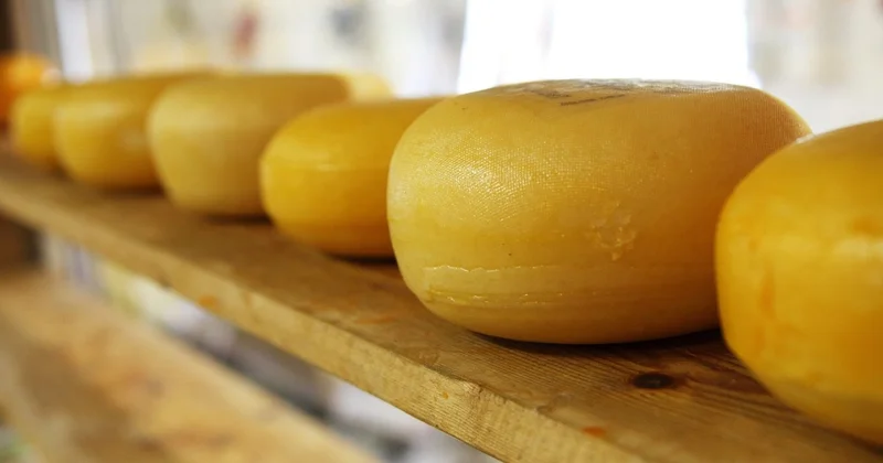 Не только кумыс какой продукт из Казахстана всё чаще покупают за рубежом