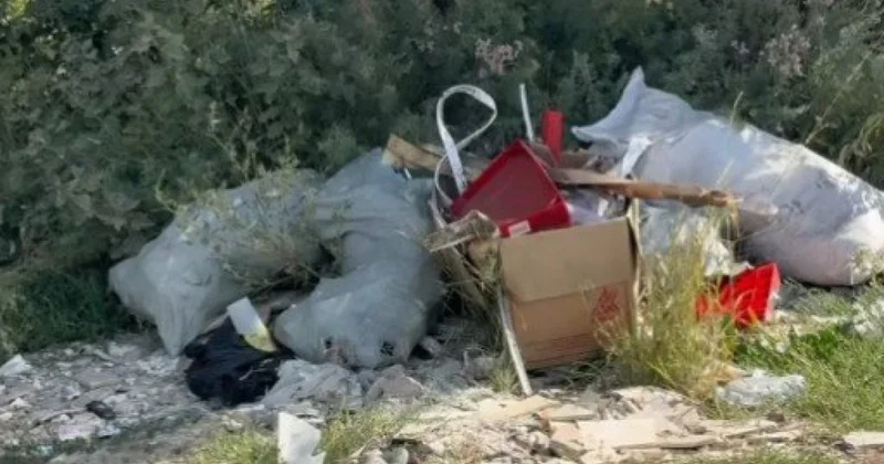 Чистый берег чистый водоем : ОСДП провела экологическую акцию