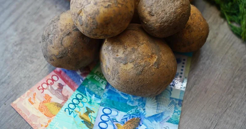 Выделенные на борьбу с дефицитом картофеля 5,1 млрд тенге неправильно использовали в Казахстане