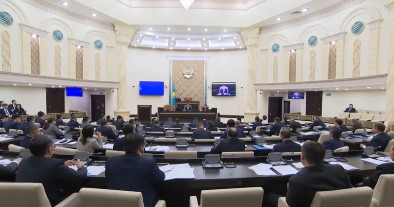 Сенатта ЖИ туралы заң қаралып жатыр
