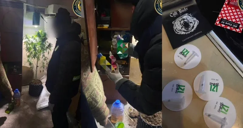 Полицейлер Шахтинск тұрғынының қорасынан жасырын фитозертхананы тапты