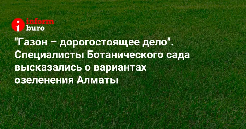 "Газон дорогостоящее дело". Специалисты Ботанического сада высказались о вариантах озеленения Алматы