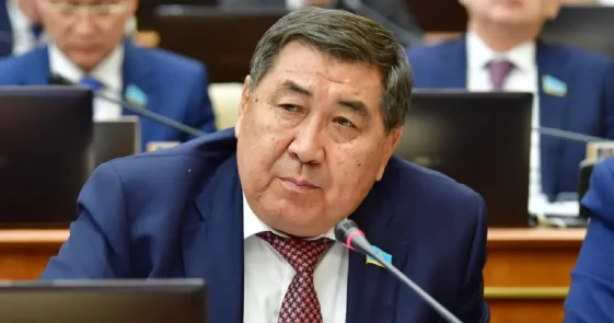 Ермурат Бапи: Представители радикалов уже находятся во власти!