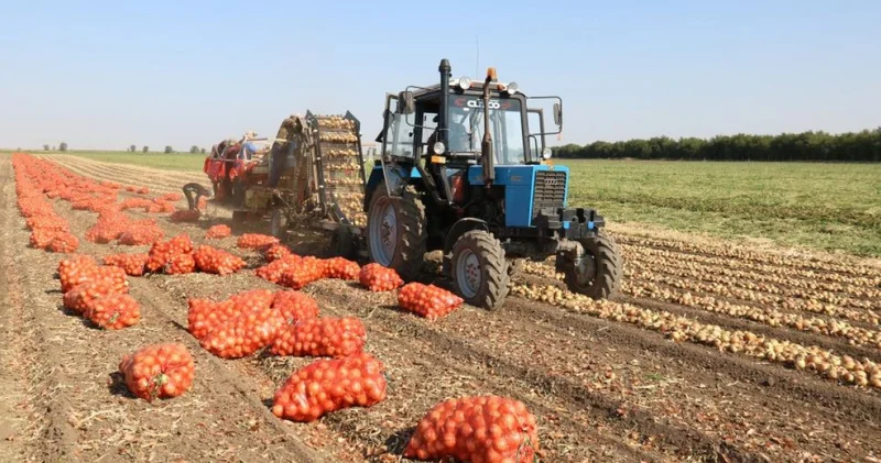 Жиын терін маусымының жетістігі мол