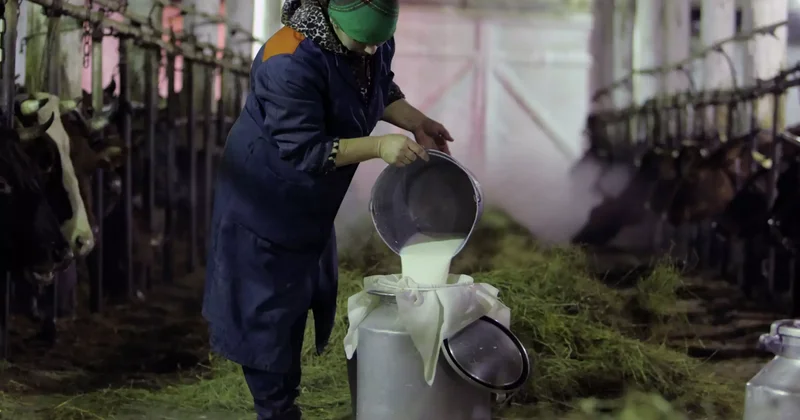 Үй шаруашылықтары ет, сүт және жұмыртқа сатудан қанша табыс тапты