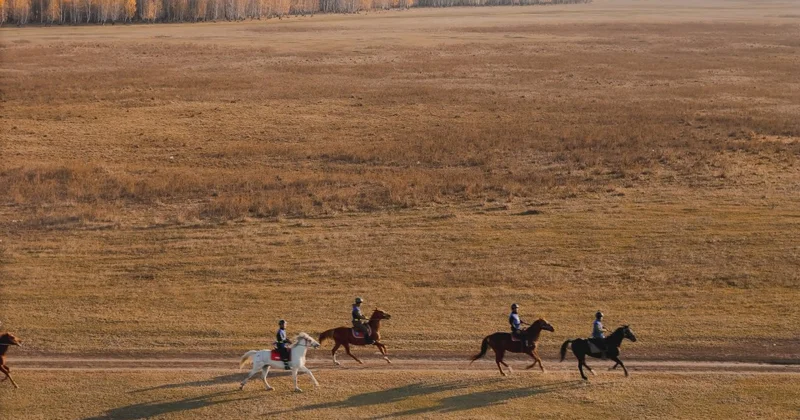 Казахстанские всадники заняли весь пьедестал международного турнира Allur Endurance CUP 2026