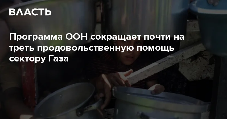 Программа ООН сокращает почти на треть продовольственную помощь сектору Газа Аналитический интернет журнал Власть