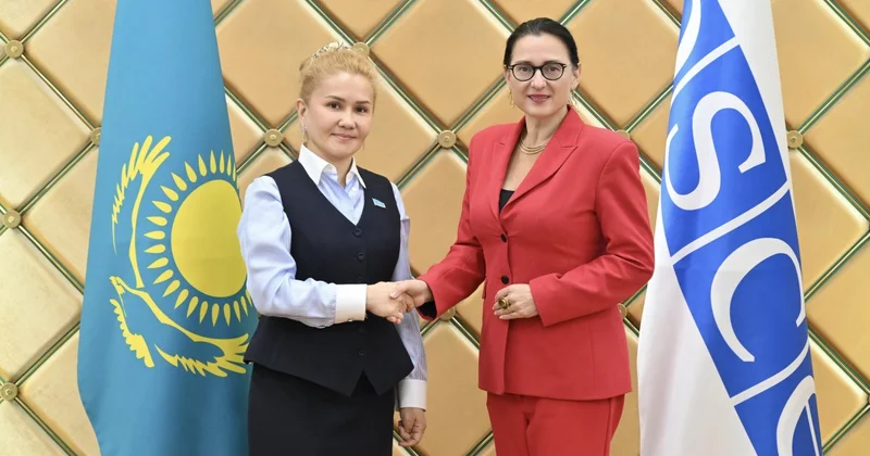 В Курултае обсудили перспективы сотрудничества с Парламентской ассамблеей ОБСЕ