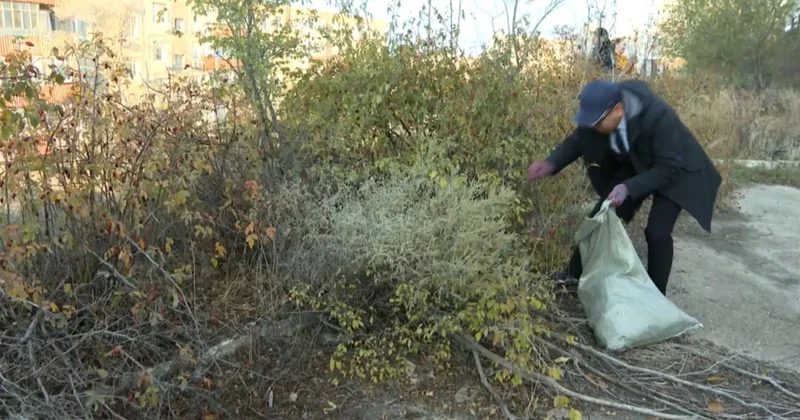 Ақтауда 70 тонна қоқыс шығарылды