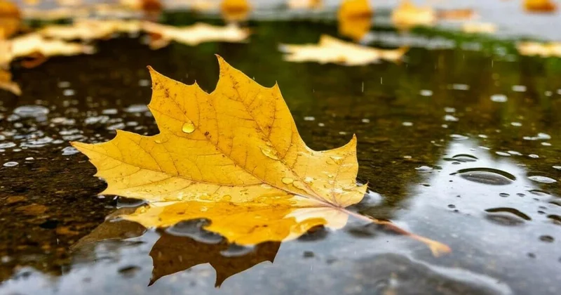 Осадки ожидаются в четверг в большинстве регионов Казахстана