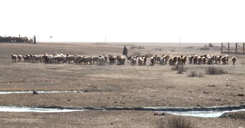 Өңірлерді дамытуға ден қойылады