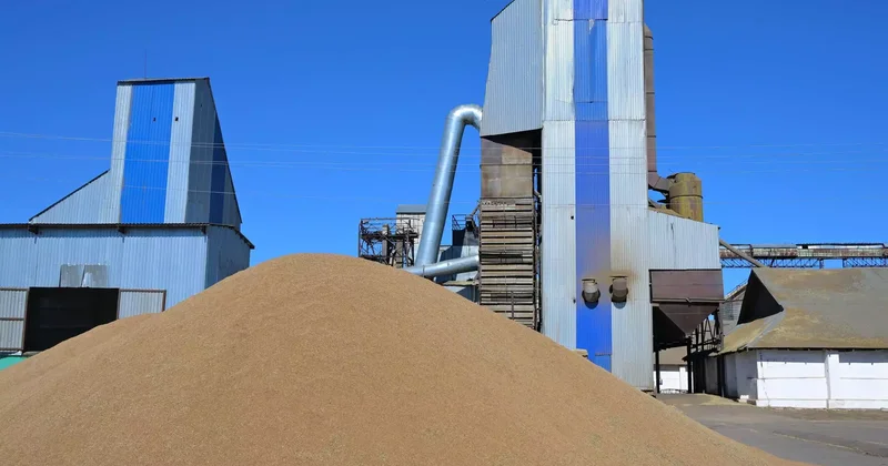 Солтүстік Қазақстанда астық қоймасына құлап кеткен жұмысшы әйел көз жұмды