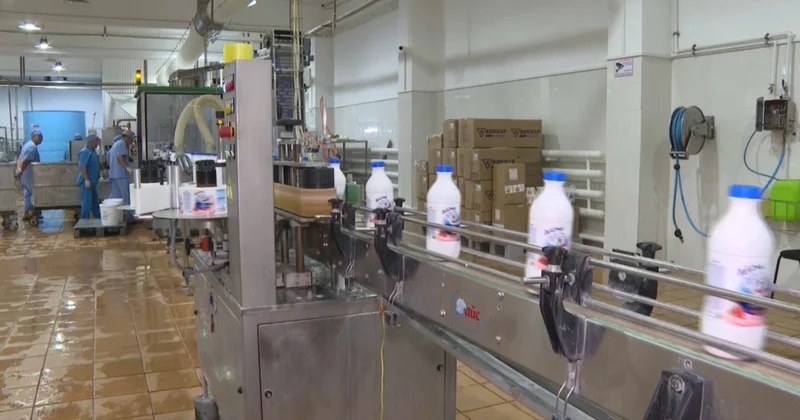 Ақтөбе облысында жергілікті өнім көлемі артады