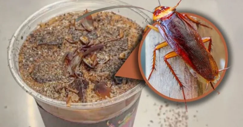 Китайские бариста создали новый хоррор напиток