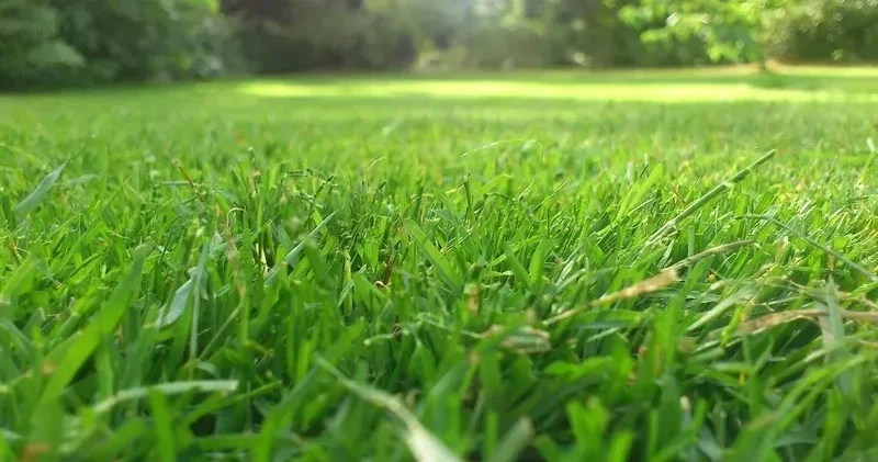 Алакөл мемлекеттік табиғи қорығында ауыл тұрғындарына шөп шабуға жер учаскелері бөлінеді