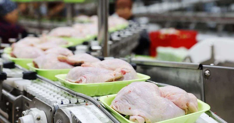 Запущен завод по переработке мяса птицы