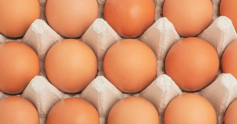 В Казахстан не пустили 63 тысячи яиц, ввозимых из России