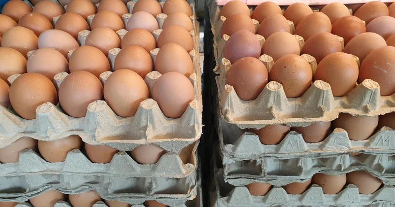 Фуру с десятками тысяч яиц развернули на границе Казахстана и отправили обратно в Россию