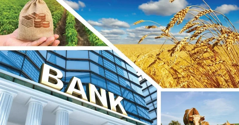 Агробанк туралы идея банктерден қолдау таппады