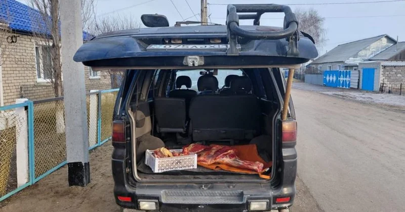 Қостанай облысында мал ұрлығы жиілеп барады