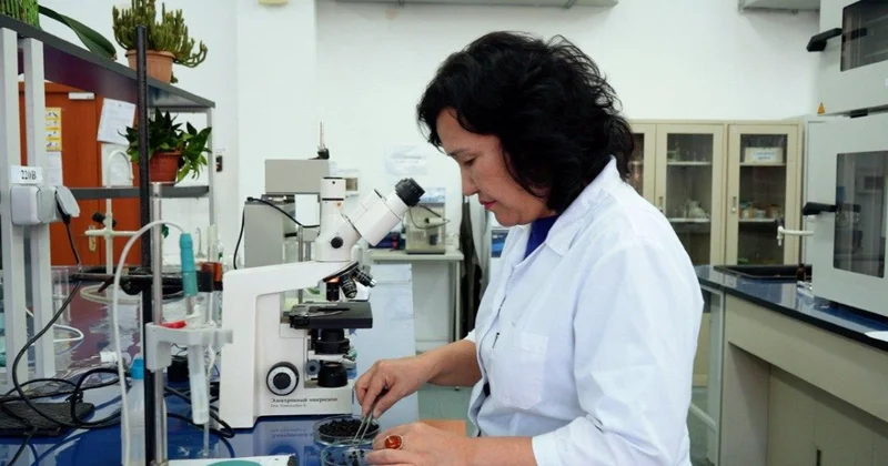 Ученые разработали эффективный способ защиты семян