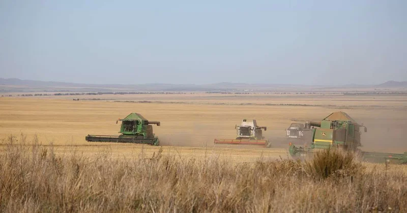 Задолженность государства перед аграриями достигла критического уровня сенатор Карплюк