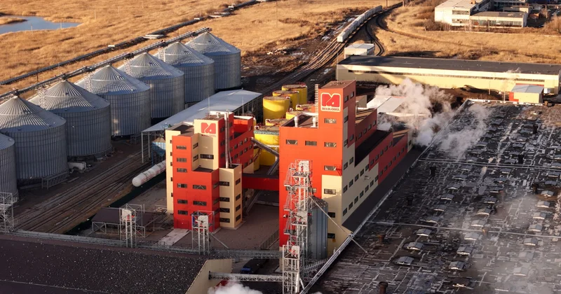 Жаңа май зауытының ашылуы диқандардың түйткілін қалай шешті?