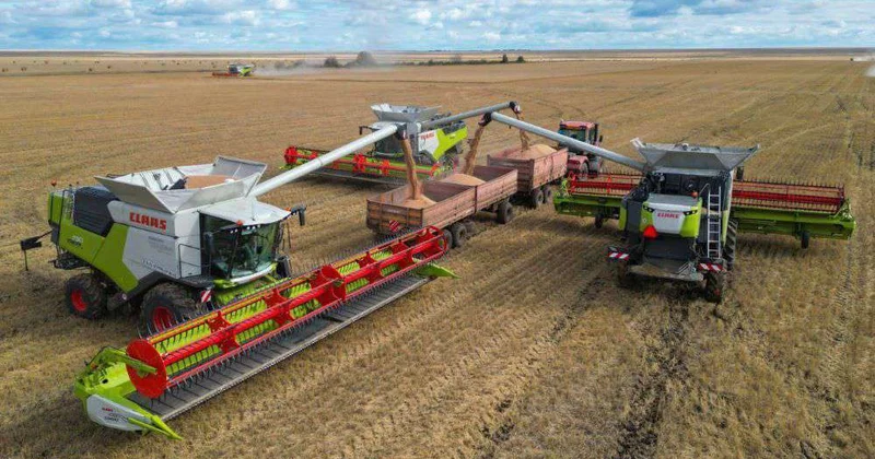 Чемпионы хлебной нивы