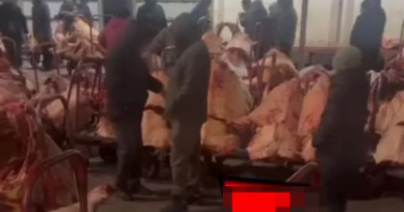 На рынке Алем подделывали ветеринарные документы в Астане