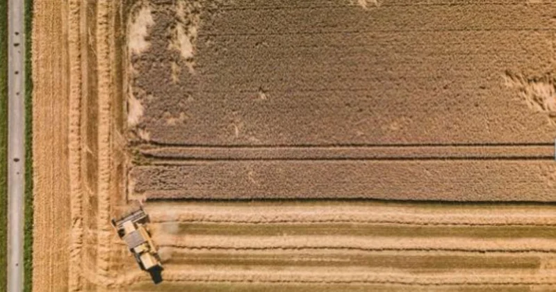 Индер ауданында игерілмеген жер телімдері анықталды