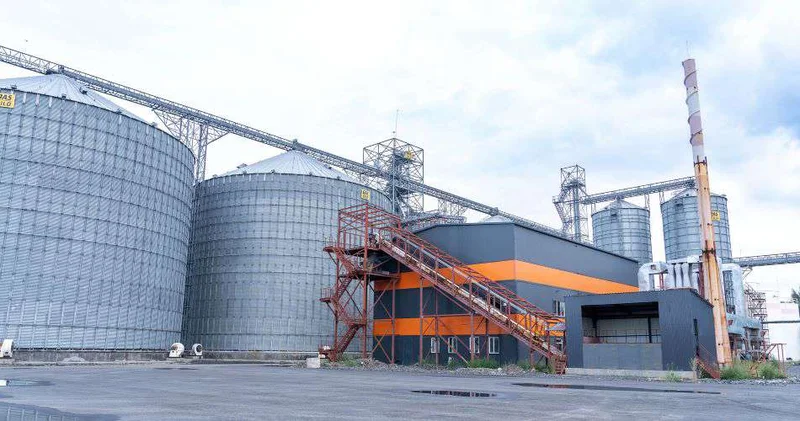 С прицелом на экспорт