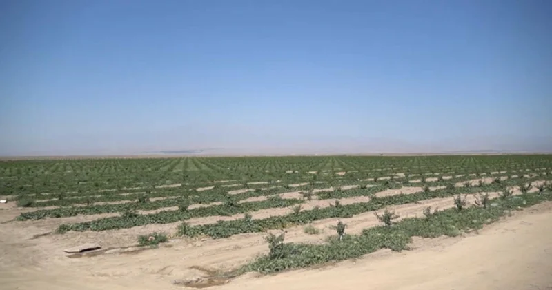 Өзбекстанда су қоры азайды