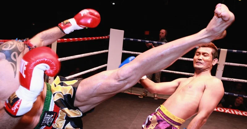 Опасные бои ММА выявлены в Узбекистане