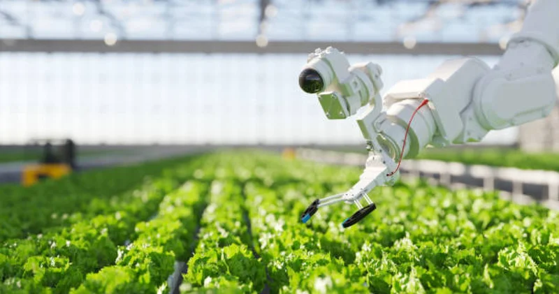 Президент: Жапонияның су саласын автоматтандыру және цифрландыру тәжірибесіне ерекше қызығушылық танытамыз