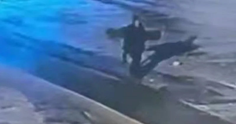 Тело пропавшей несколько дней назад 18 летней девушки нашли в горах Алматы