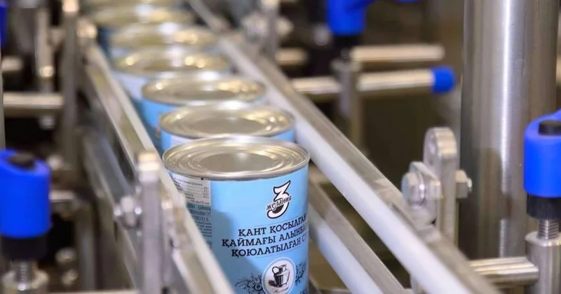 СҚО да жылдық қуаттылығы 12 мың тонна қойытылған сүт өндірісі іске қосылды