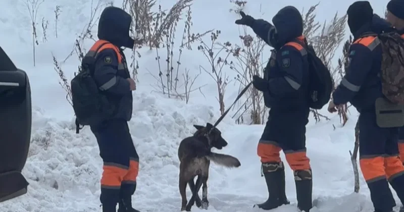 Девушка погибла в горах Алматы, обнаружено тело