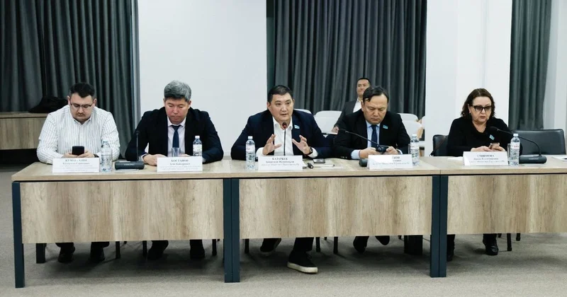 Проект обновленного генплана Алматы представили депутатам мажилиса