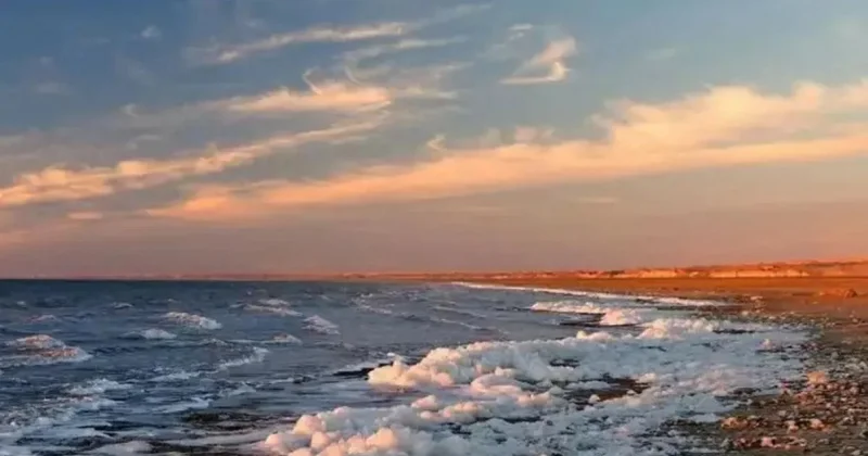 5 жыл ішінде Солтүстік Аралдың көлемі қаншалықты ұлғаяды?