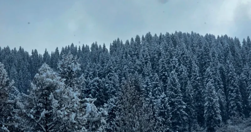 Морозы возвращаются: синоптики рассказали о погоде в Казахстане