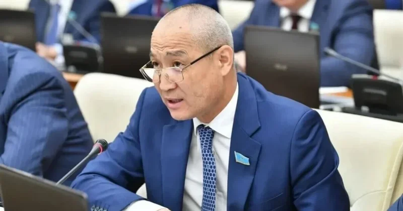 Депутат: Стратегиялық маңызы бар энергетикалық жобалар іс жүзінде жүзеге аспаған