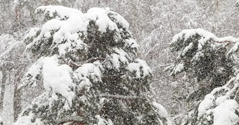 Боран соғып, қар жауады . Алматы мен 14 өңірде дауылды ескерту жарияланды